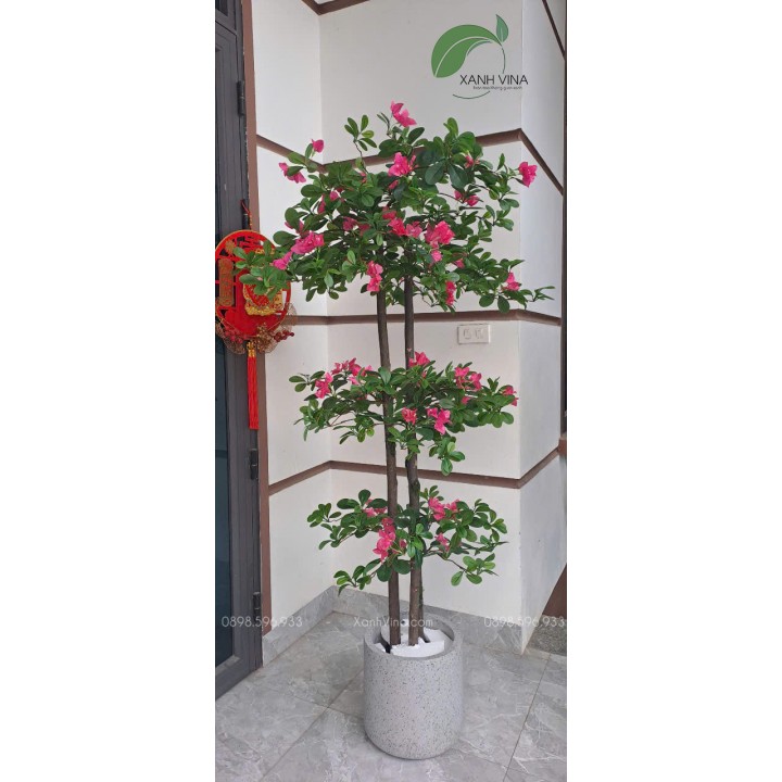 cây hoa đỗ quyên giả đẹp giống thật trang trí 